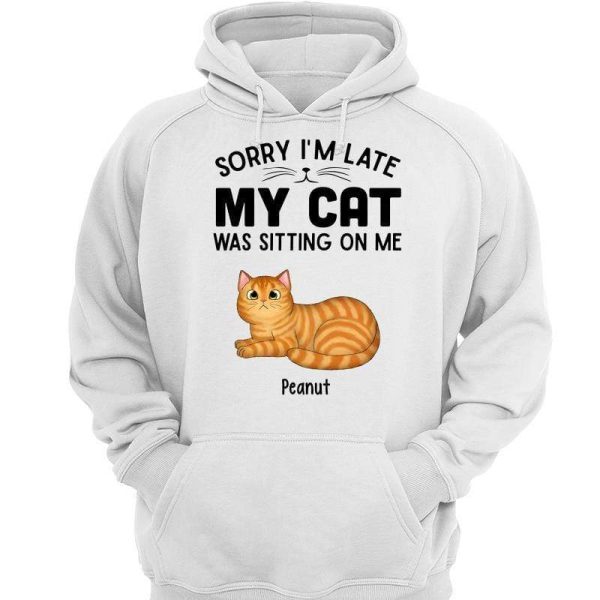 My Cat Sitting On Me Fluffy Cat Loaf Personalized Hoodie Sweatshirt on Sale