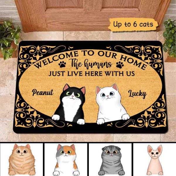 Welcome To Fluffy Cat Home Personalized Doormat Cheap